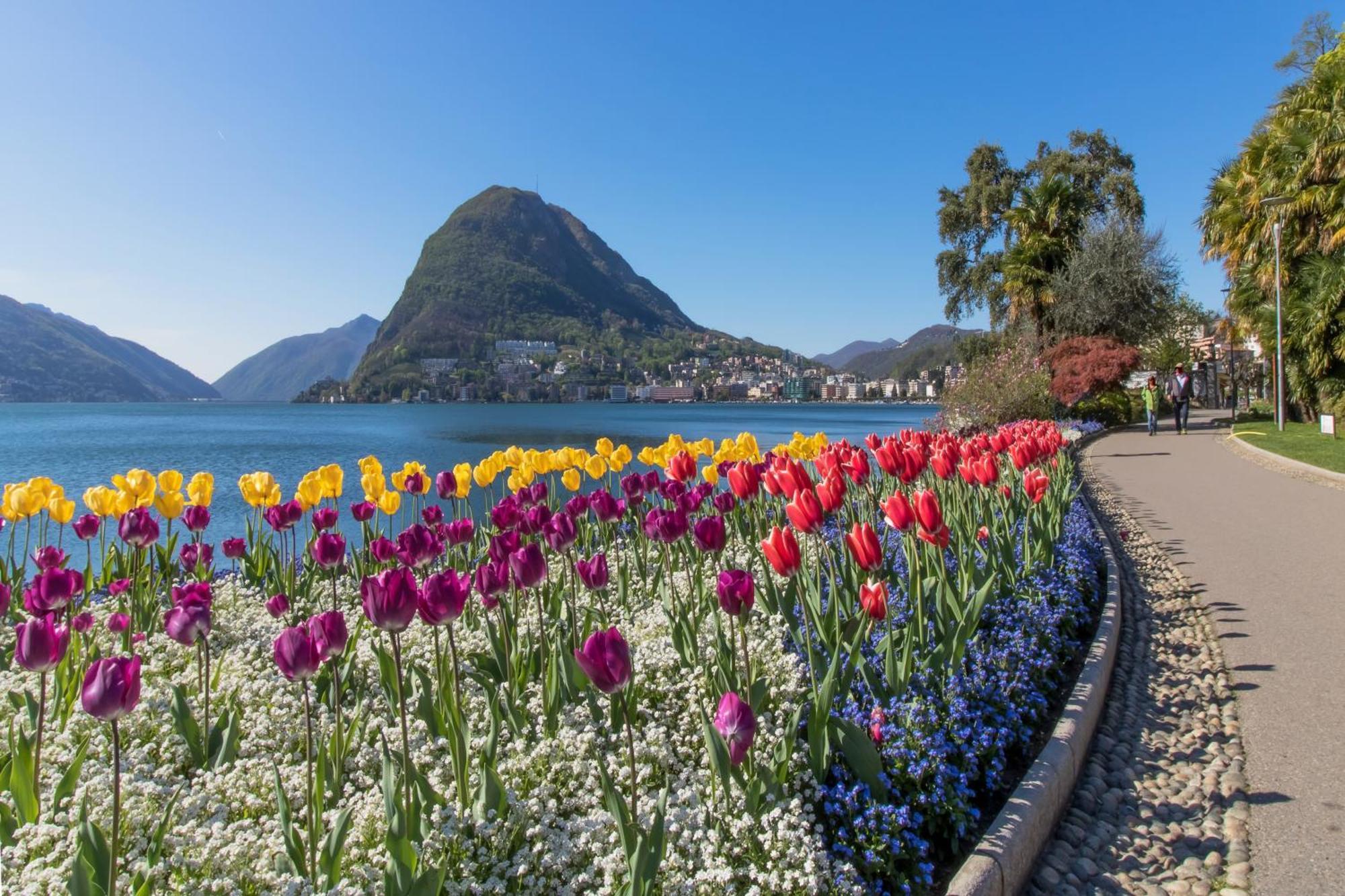 Ca' Gina Panoramica Apartamento Lugano Exterior foto